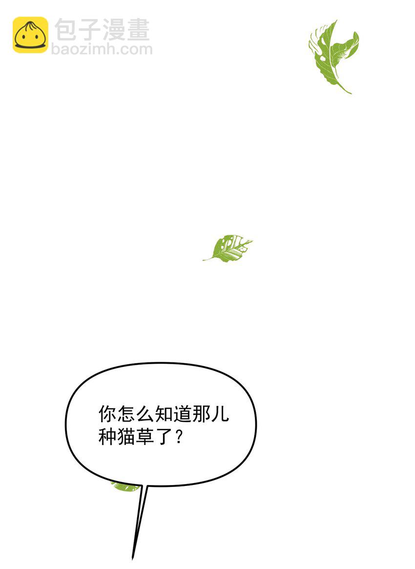 雪豹喜欢咬尾巴 - 049 他种了好多猫草诶～？(1/2) - 2