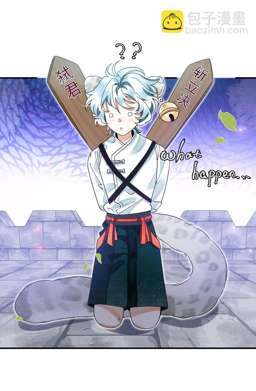 雪豹喜歡咬尾巴 - 005 大王的臉，才叫一見難忘 - 6