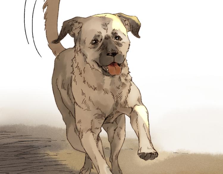 第10话 勇气(1/2)-第11话