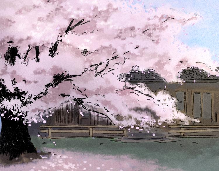 第24话：婆稚（上）(1/2)-第25话