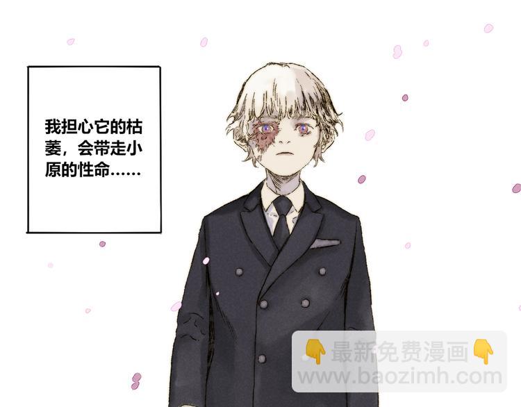 第24话：婆稚（上）(1/2)-第25话