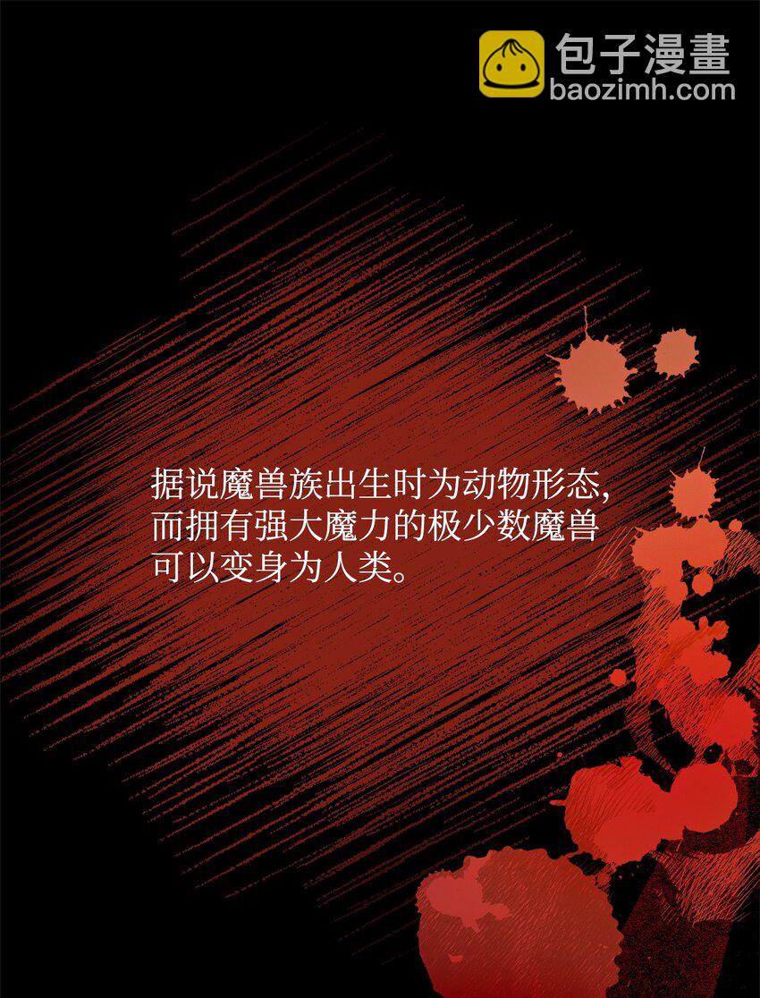 01 我与黑豹的初次见面(1/2)-第1话