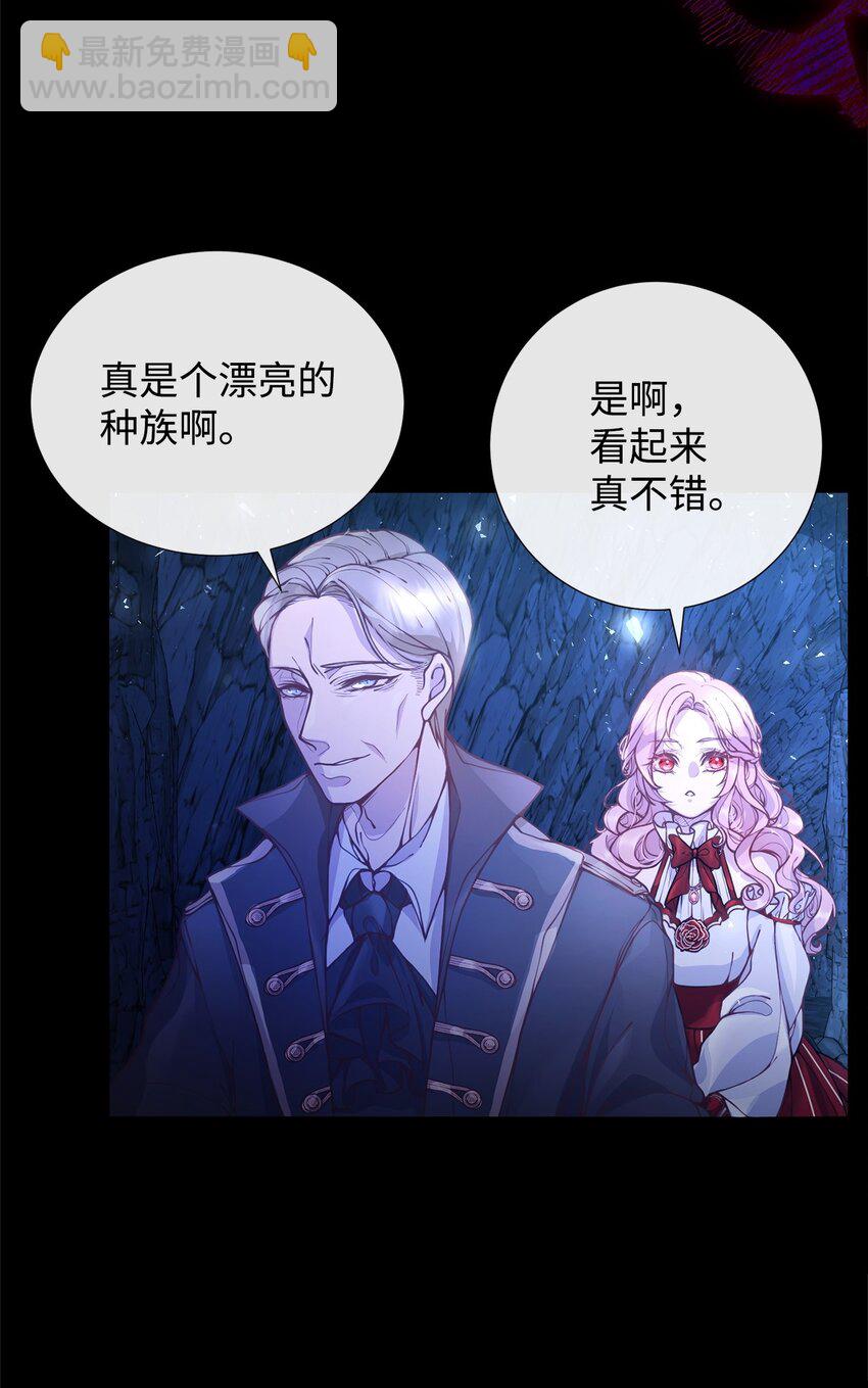 01 我与黑豹的初次见面(1/2)-第1话