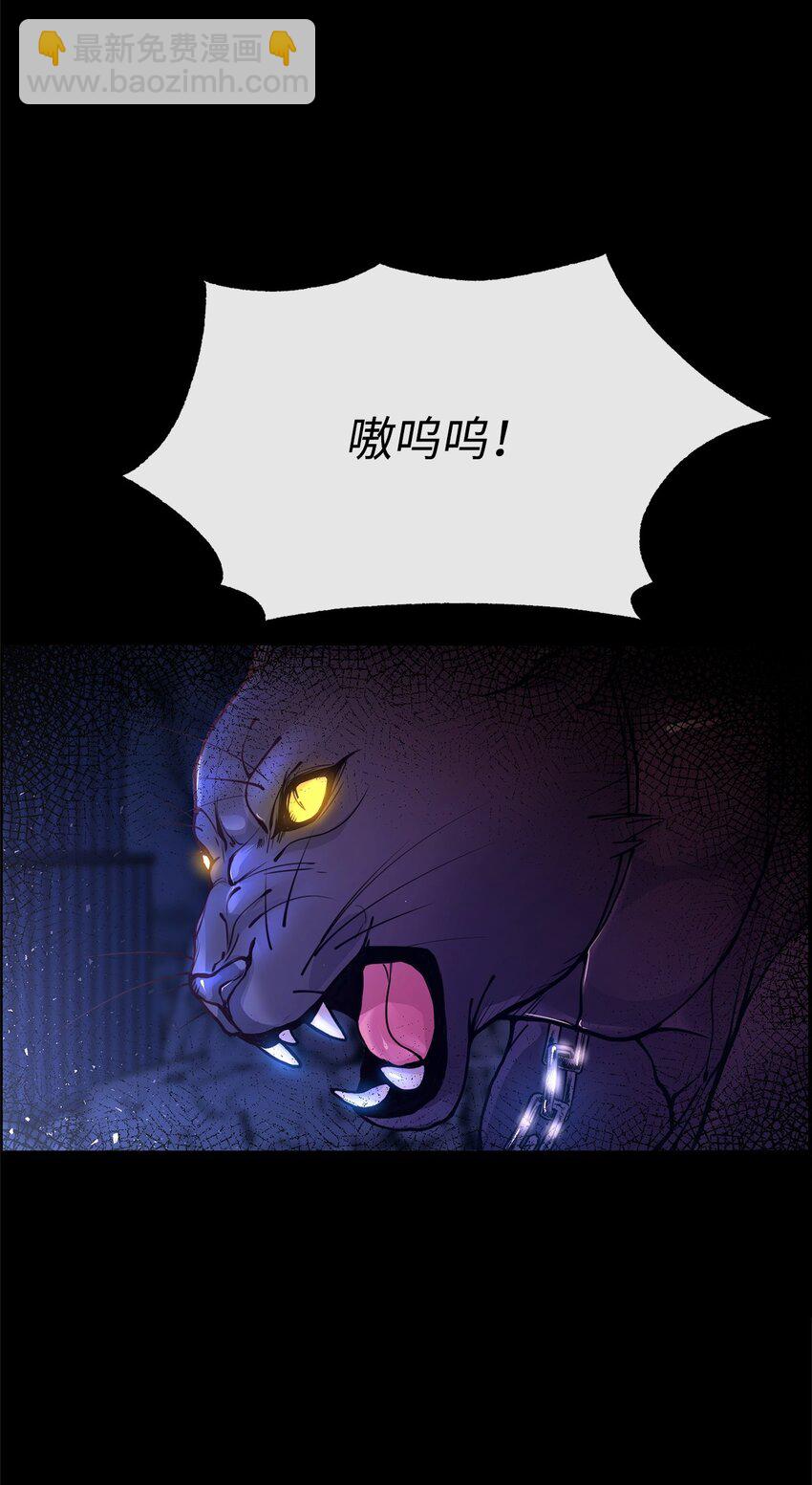 01 我与黑豹的初次见面(1/2)-第1话