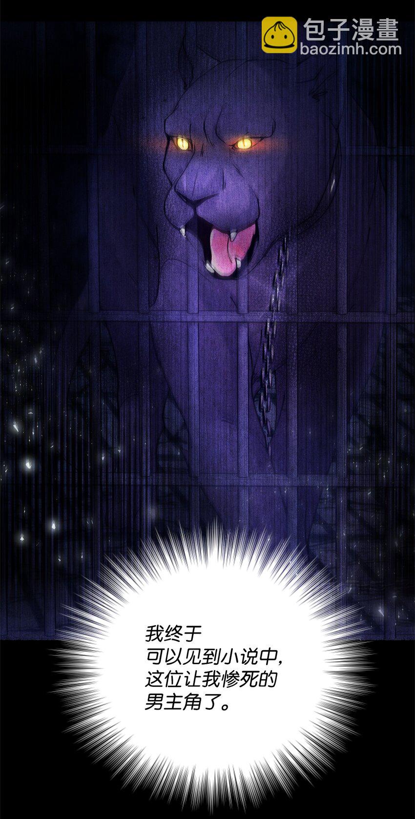 01 我与黑豹的初次见面(1/2)-第1话