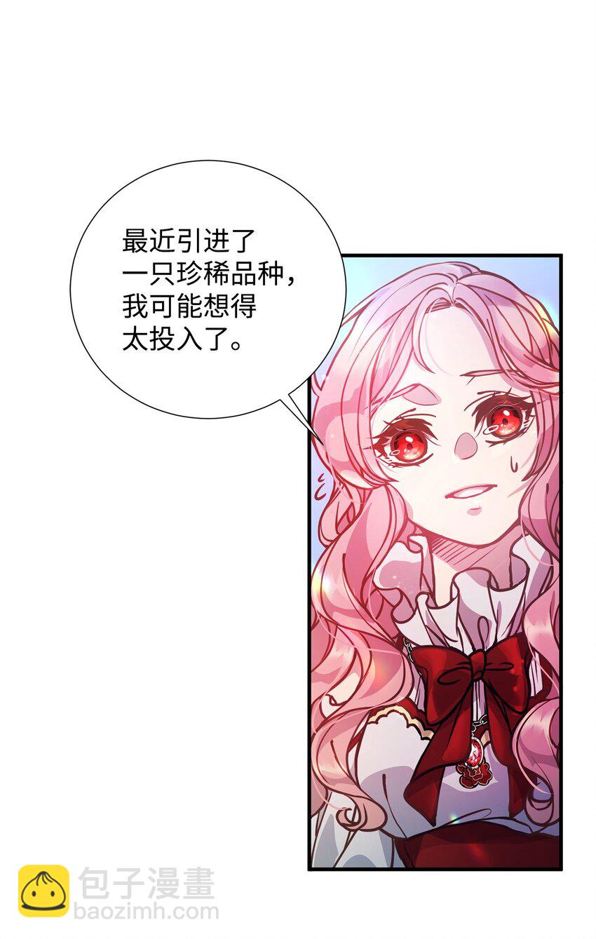 01 我与黑豹的初次见面(1/2)-第1话