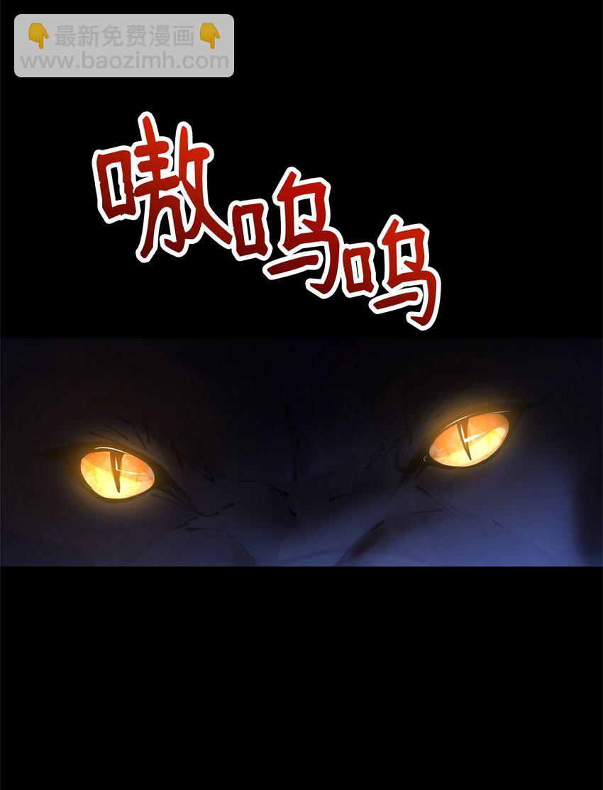 01 我与黑豹的初次见面(1/2)-第1话