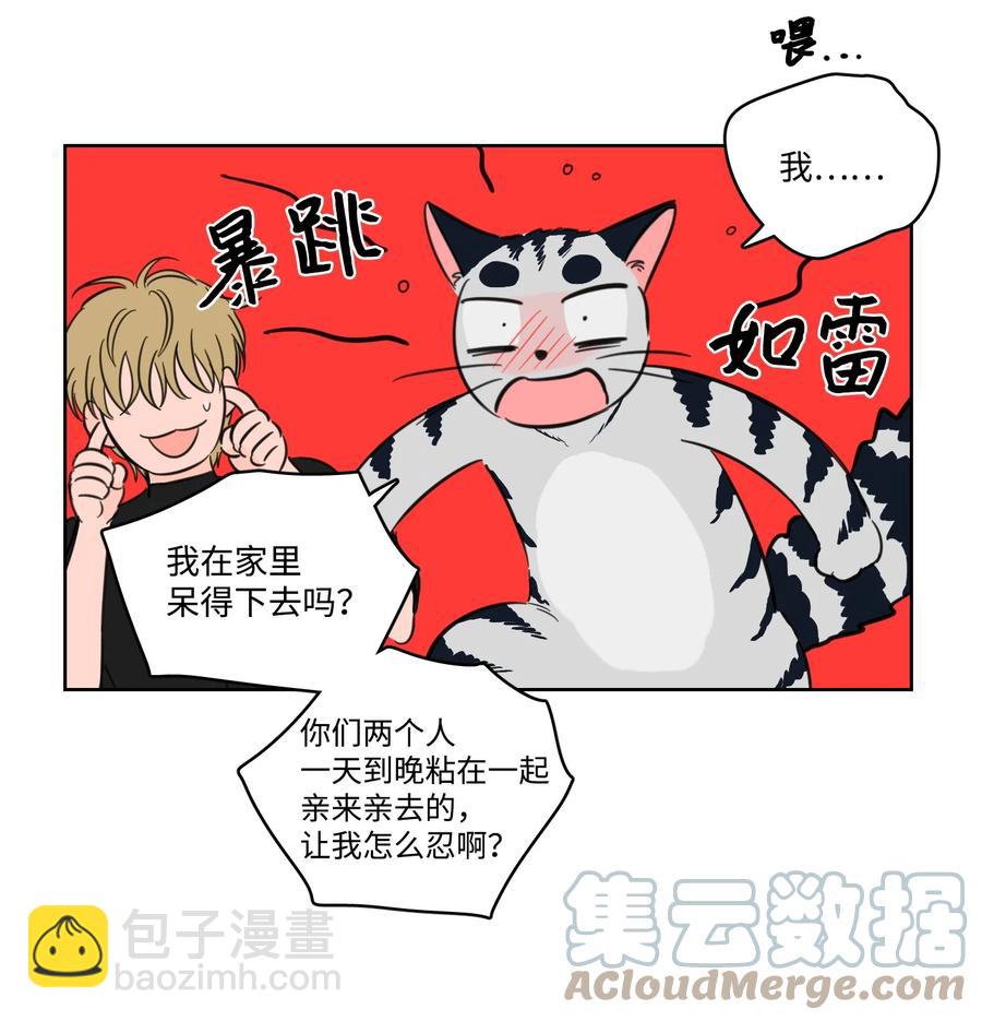 56 蟒蛇的诅咒-第57话