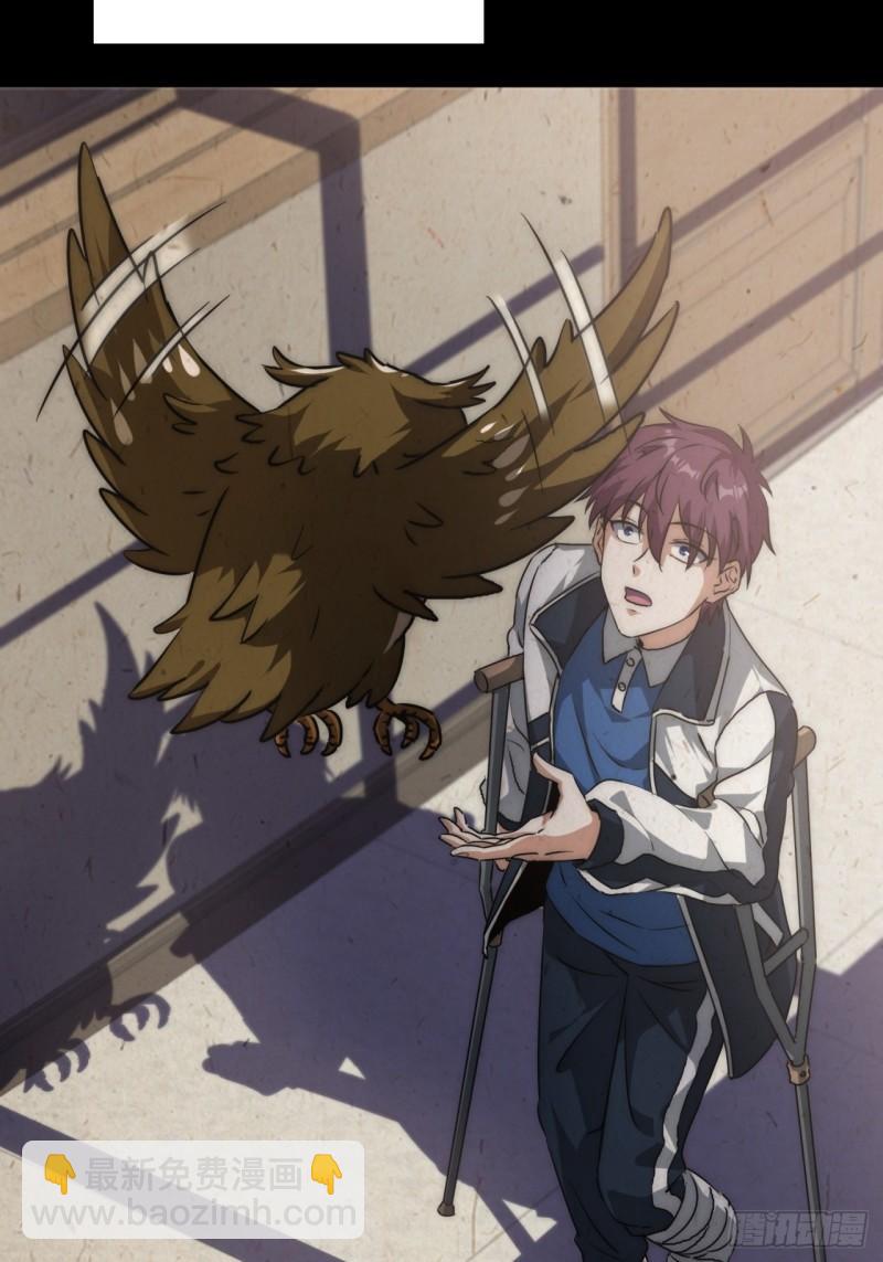 1话  开局全剧终(1/2)-第1话