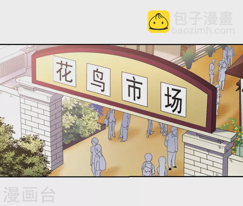 尋找前世之旅 - 第339話 往事如沙3 - 1