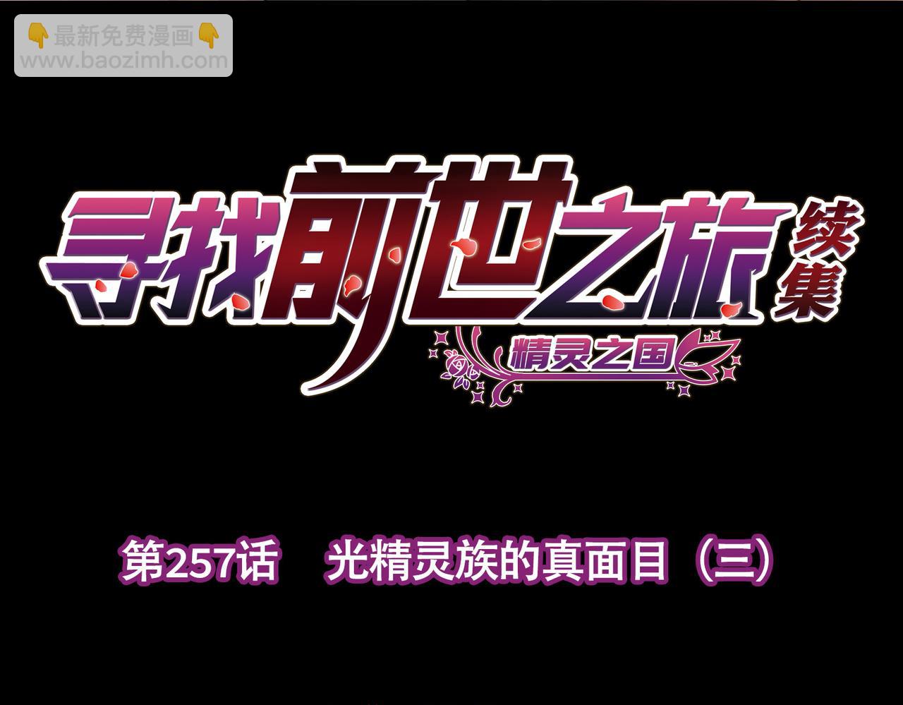 尋找前世之旅 - 第2季第257話 光精靈族的真面目3(1/2) - 4