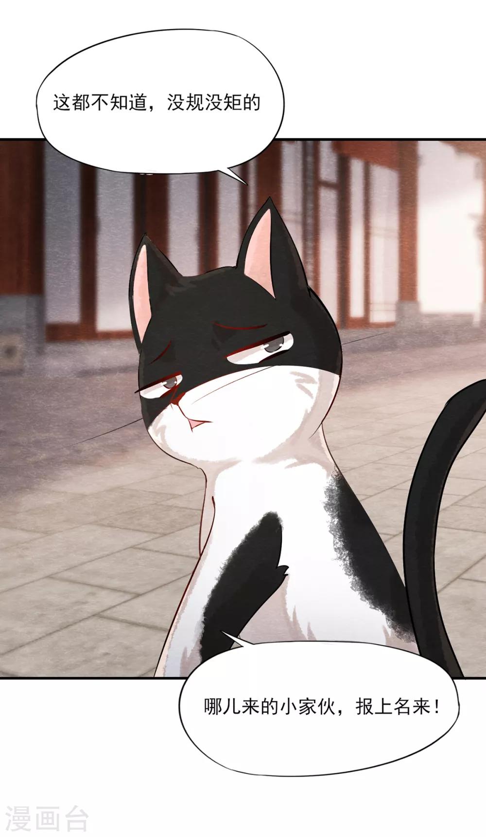 第3话 变变变！我是猫啦~-第3话