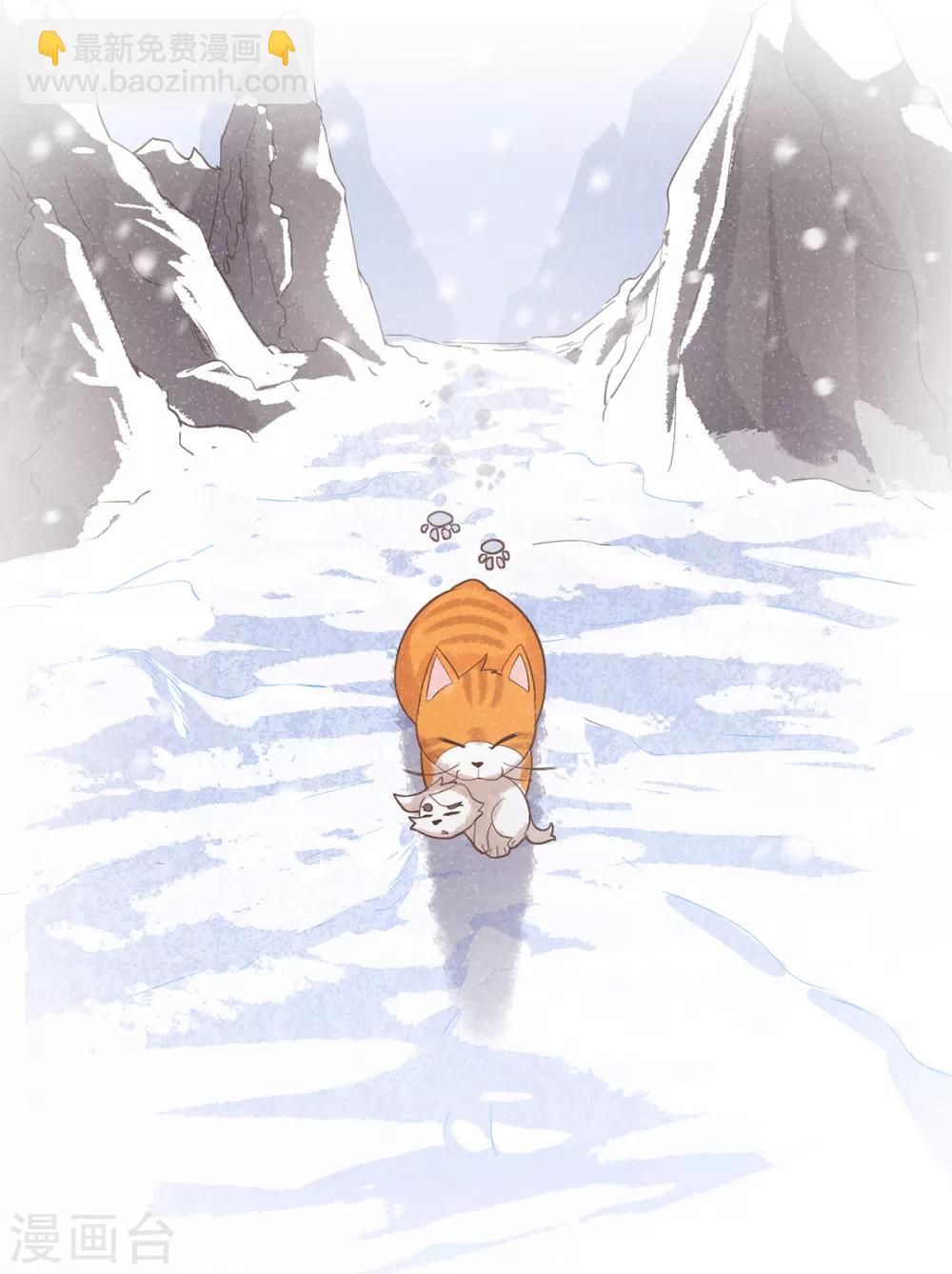 番外1 夭寿！一只狗怎么能妄想变成猫？-第5话