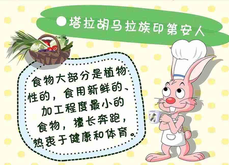 养生宝典 第13集-第13话