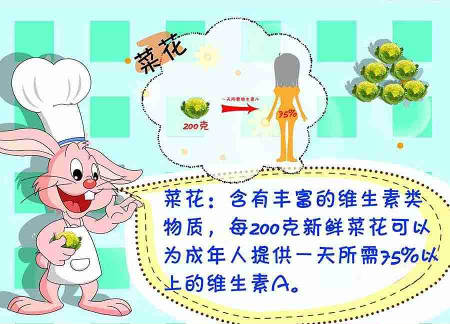 养生宝典 第17集(1/2)-第17话