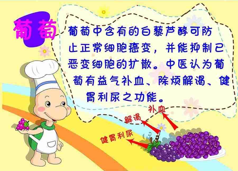 养生宝典 第19集-第19话