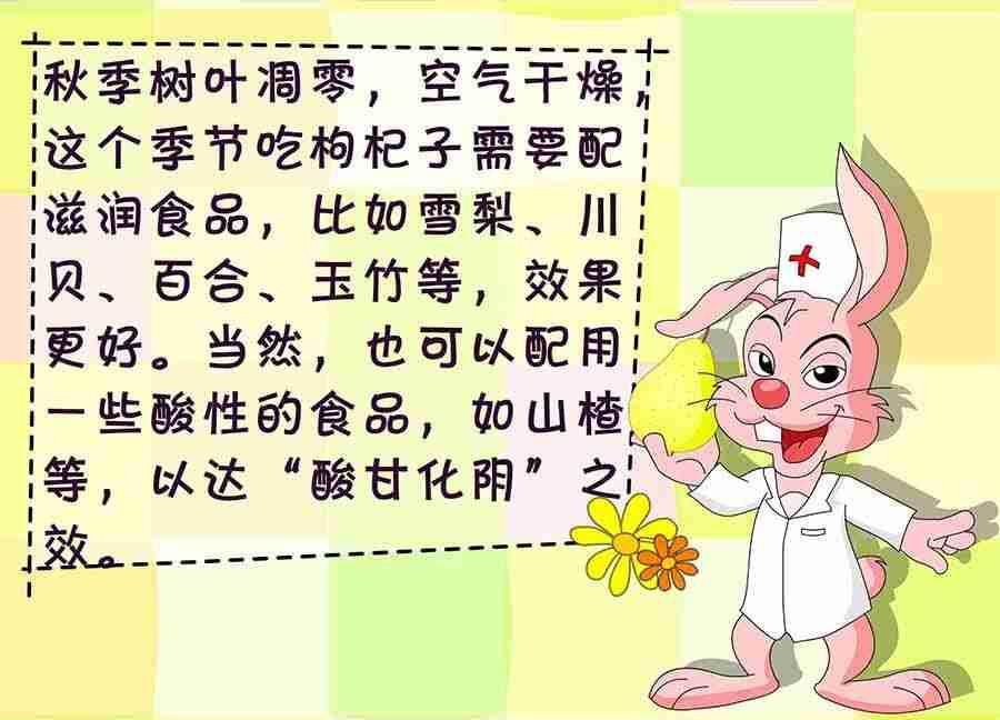 养生宝典 第3集-第3话