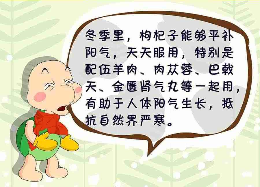 养生宝典 第3集-第3话