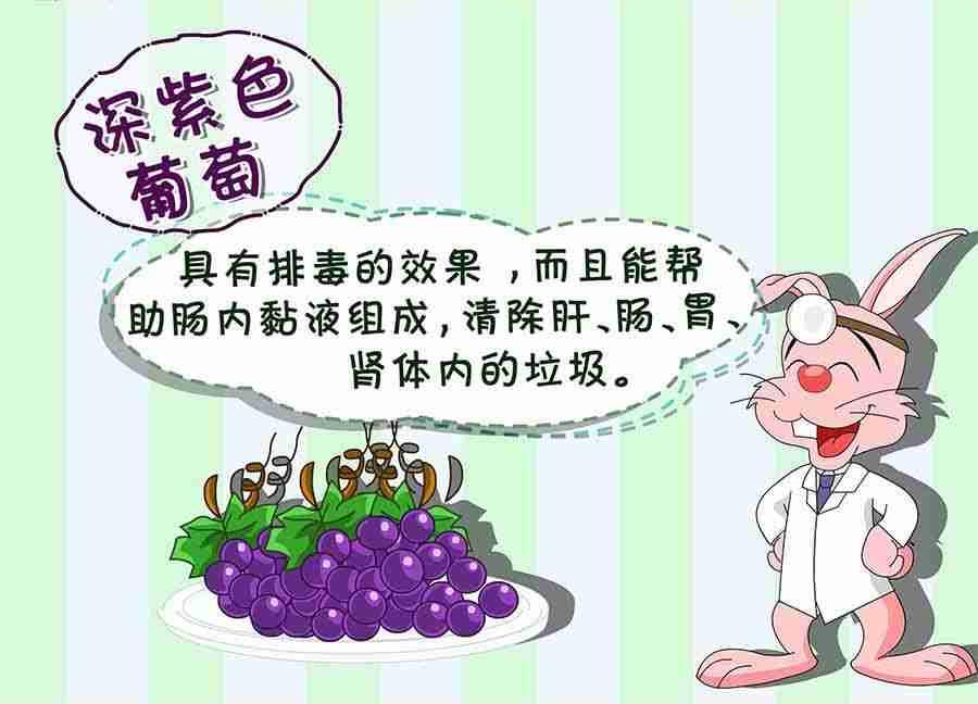 养生宝典 第5集-第5话