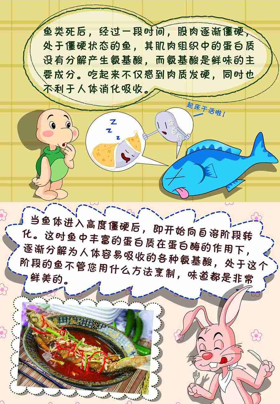 养生宝典 第7集(1/2)-第7话