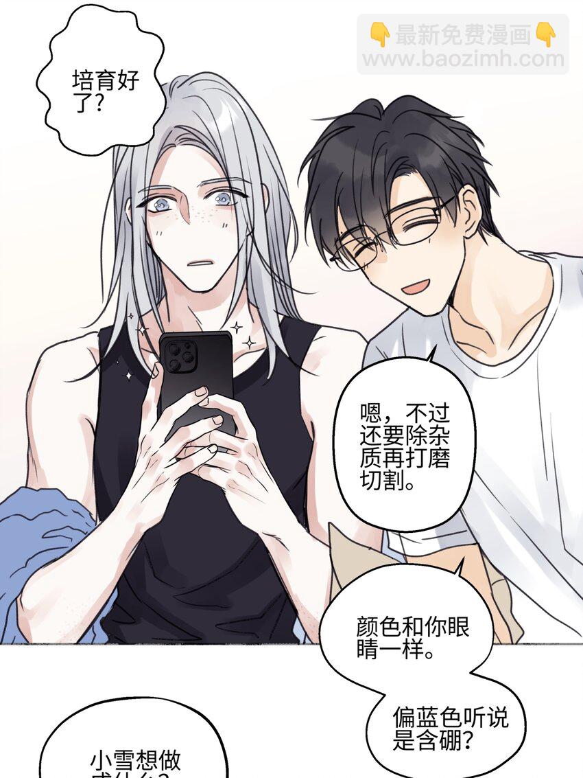 陽生小雪 - 68 花能灼熱寂寥的心 - 6