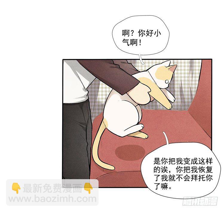 怎么会这样-第11话