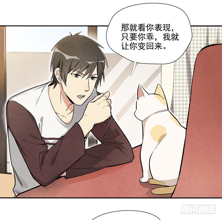 怎么会这样-第11话