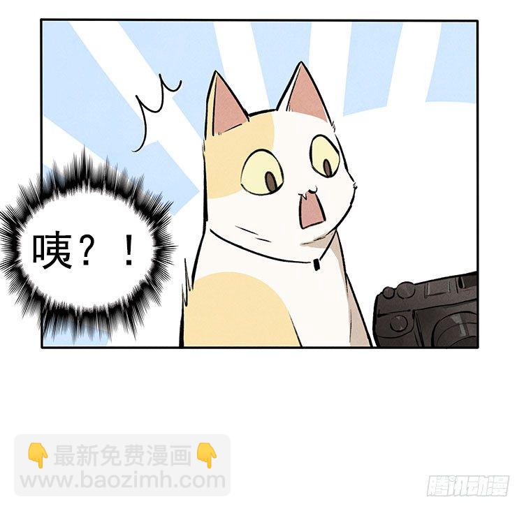 怎么会这样-第11话