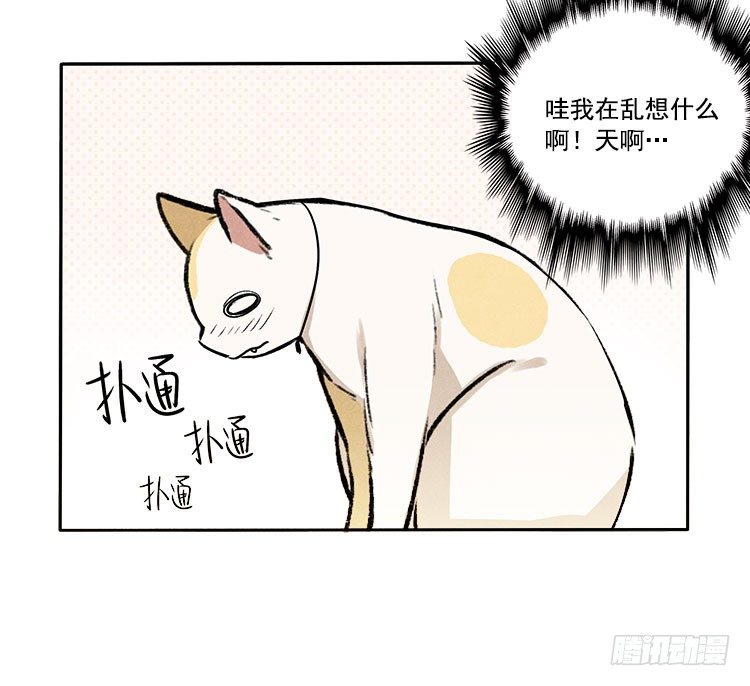 怎么会这样-第11话