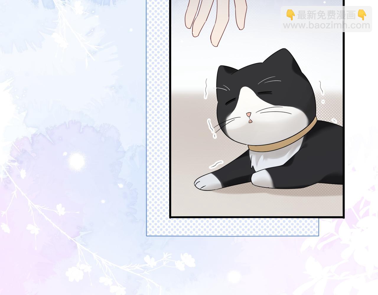 第17话  假糖？不，真的！(1/3)-第17话