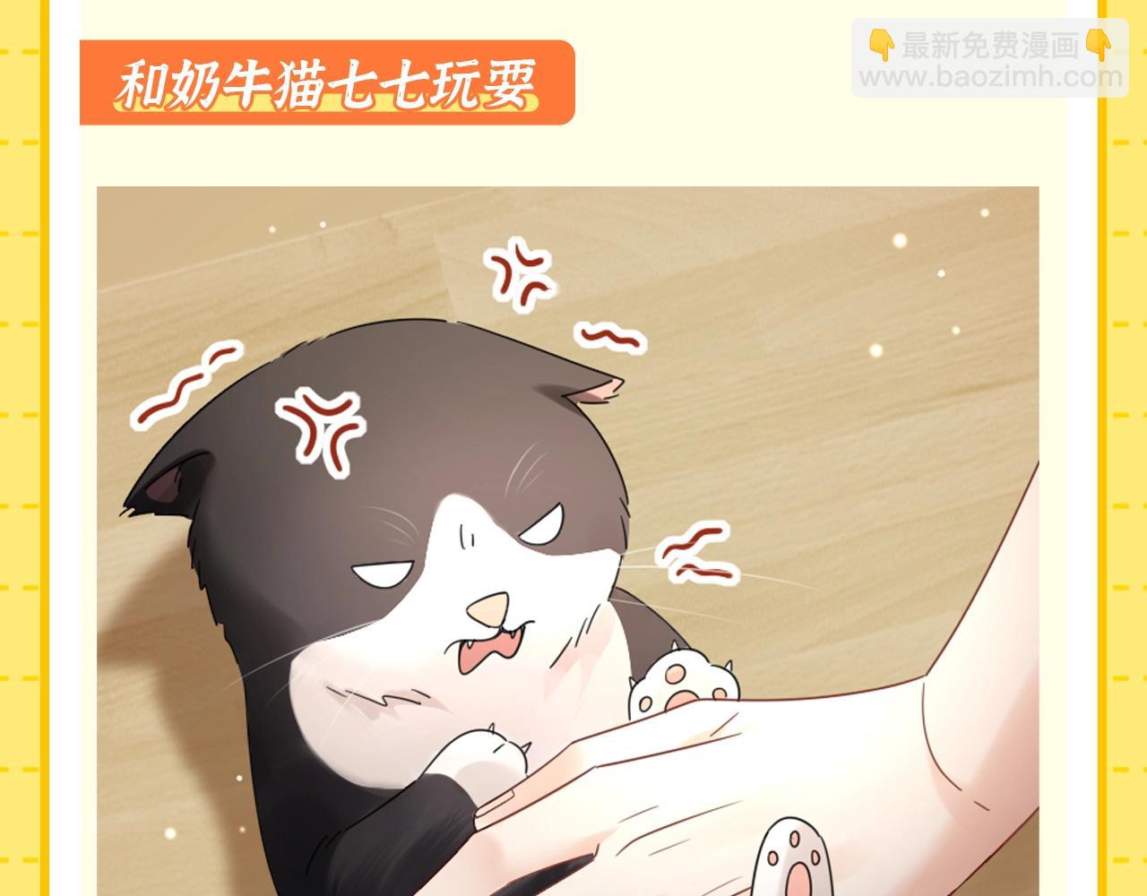 第1期 特别企划：当他变成猫猫后-第19话