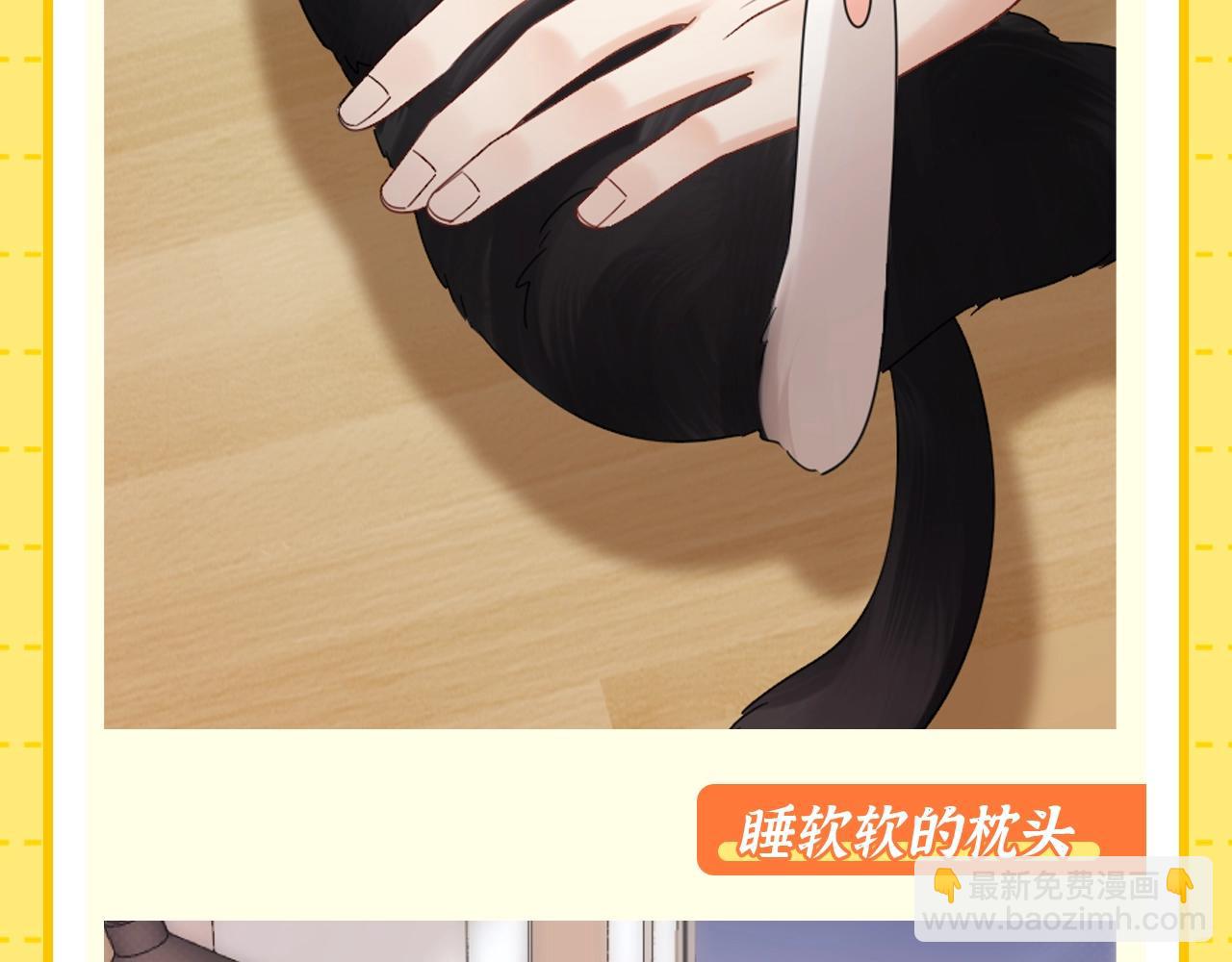 第1期 特别企划：当他变成猫猫后-第19话