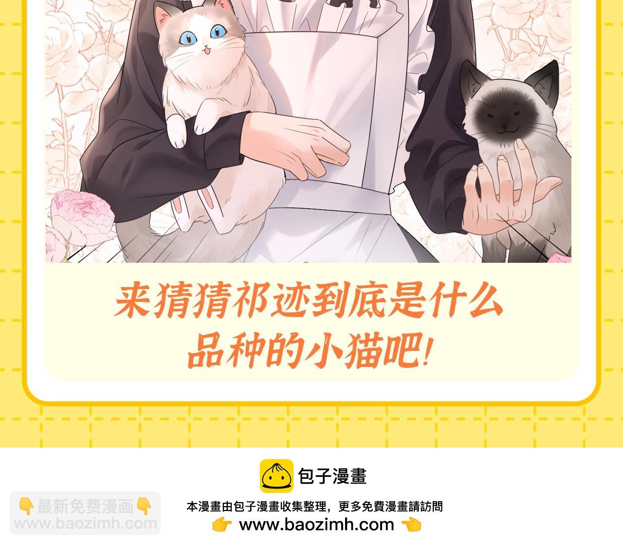 第1期 特别企划：当他变成猫猫后-第19话