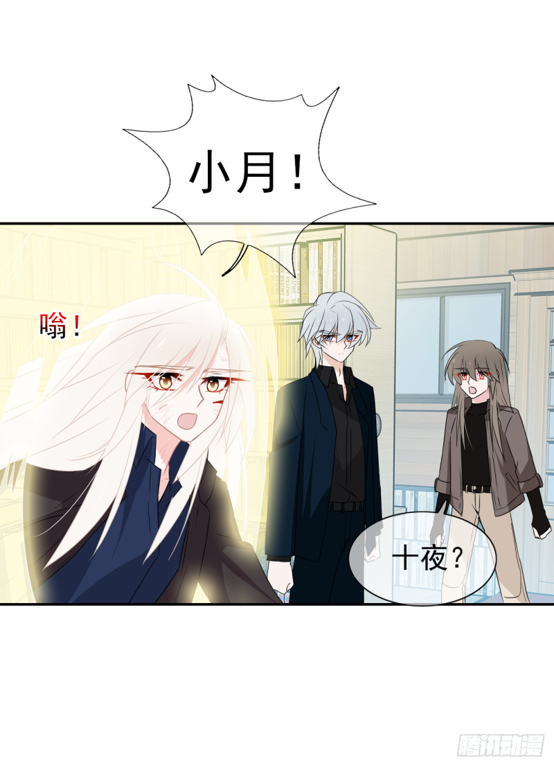 第52话 他们这次的目标是你-第53话