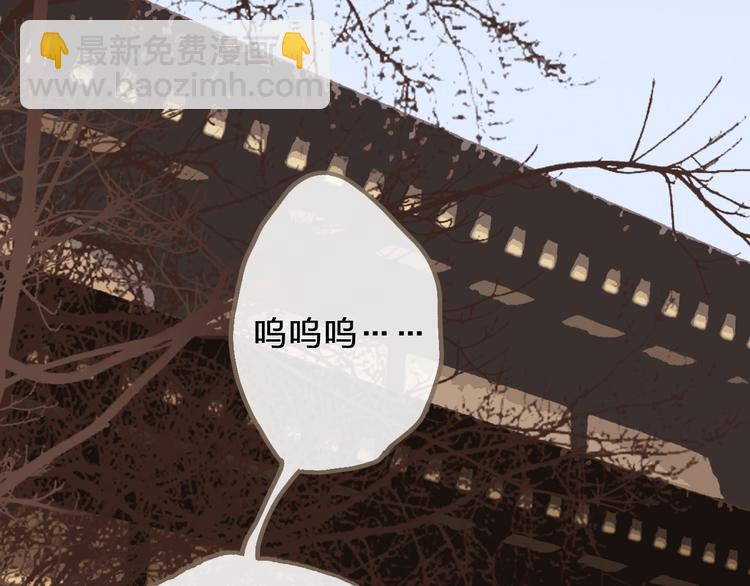 第1话 代嫁哑奴的悲哀(1/3)-第3话