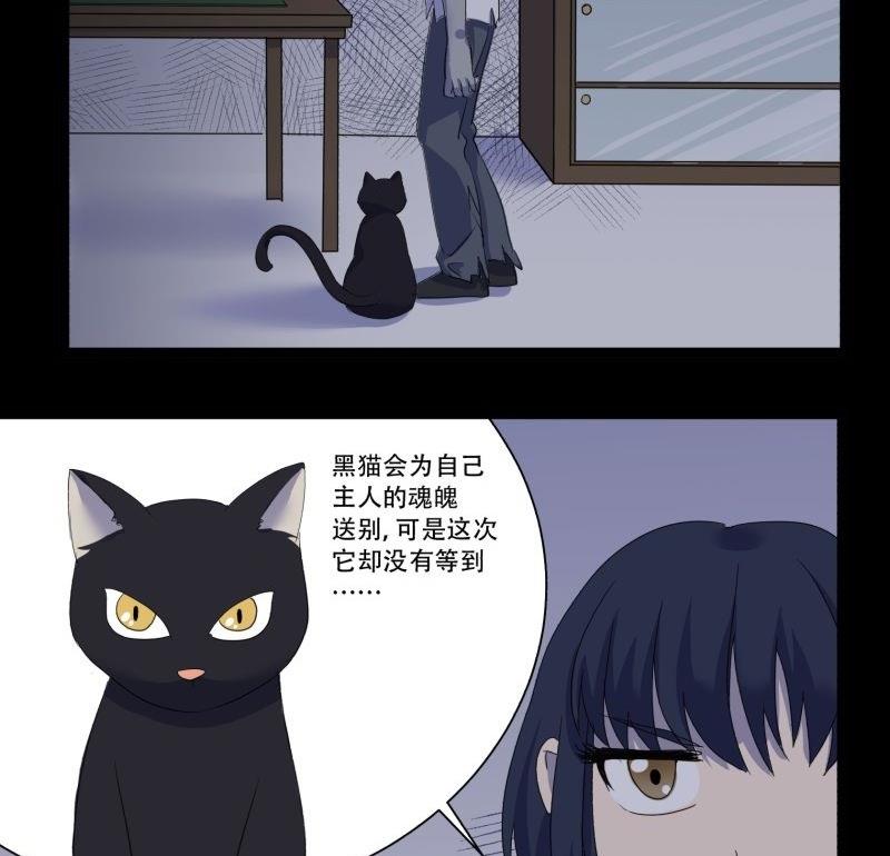 第11话 追踪(1/2)-第11话