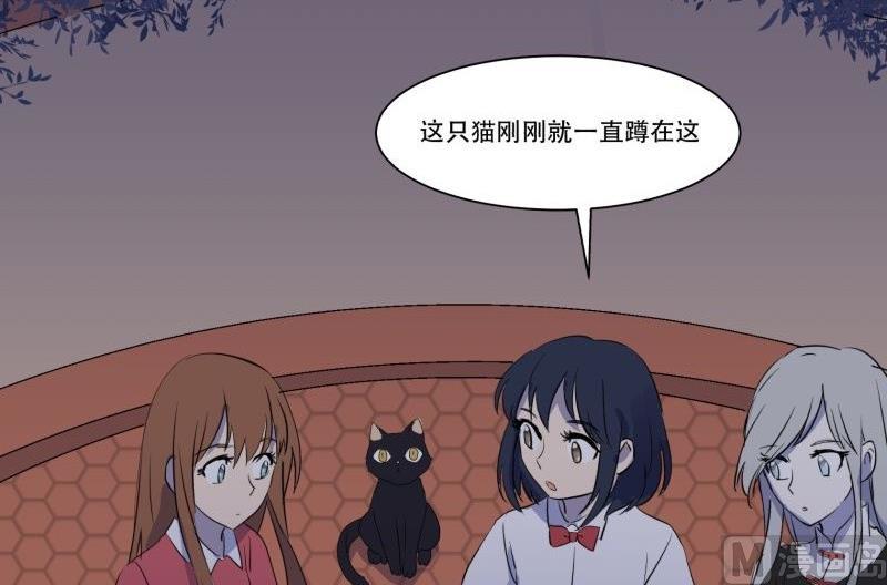 第11话 追踪(1/2)-第11话