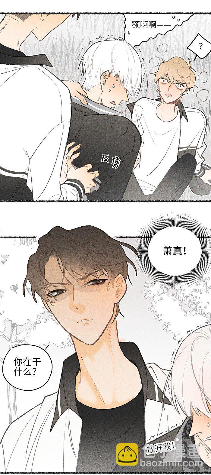 12 你们是兄弟？！-第13话