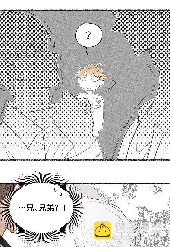 12 你们是兄弟？！-第13话