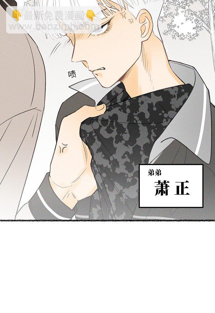 12 你们是兄弟？！-第13话