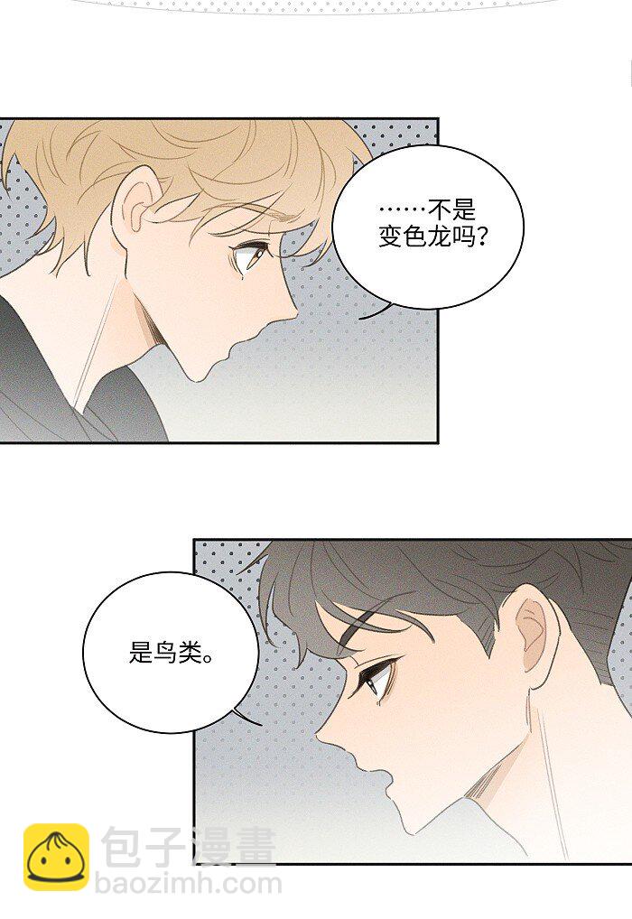 41 家里白菜被拱了！-第43话