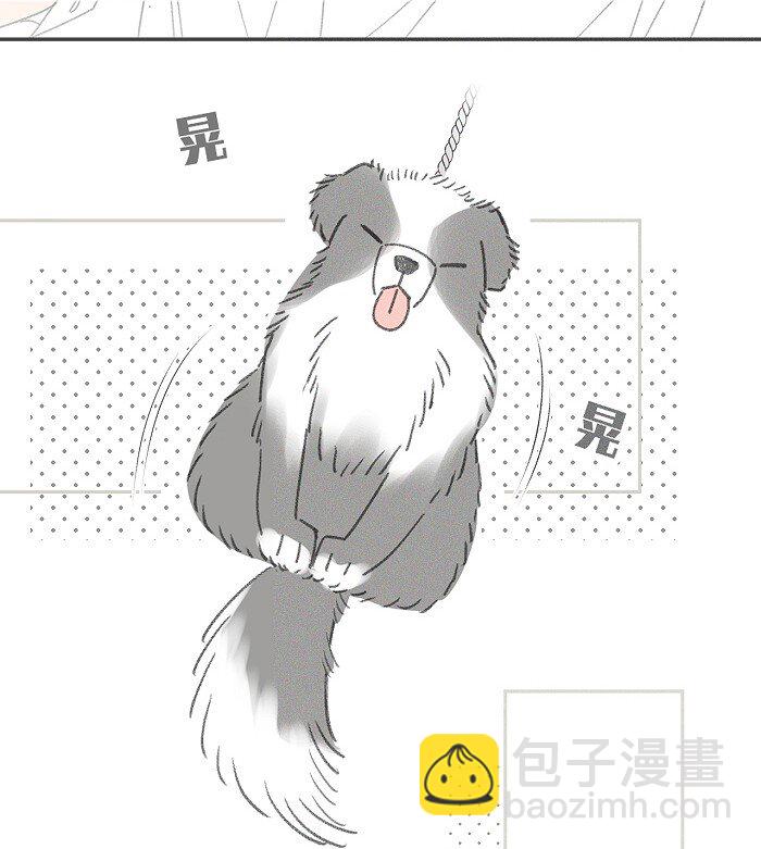 41 家里白菜被拱了！-第43话