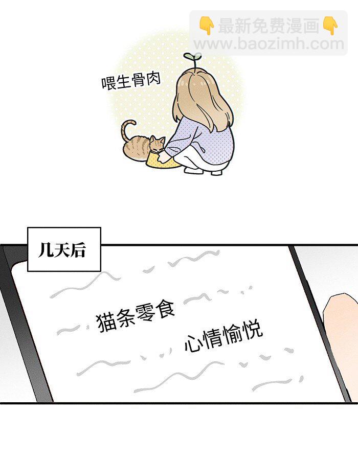 番外 裴心养猫记-第75话