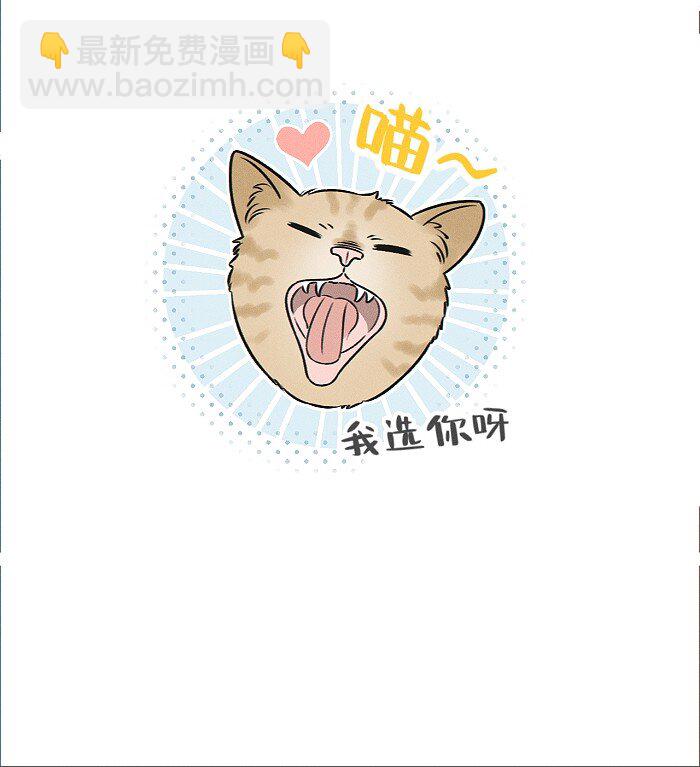 番外 裴心养猫记-第75话