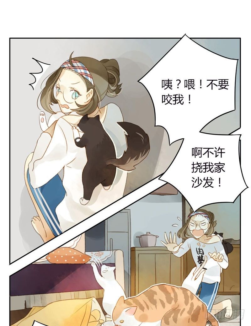 哪里来的猫（上）-第11话