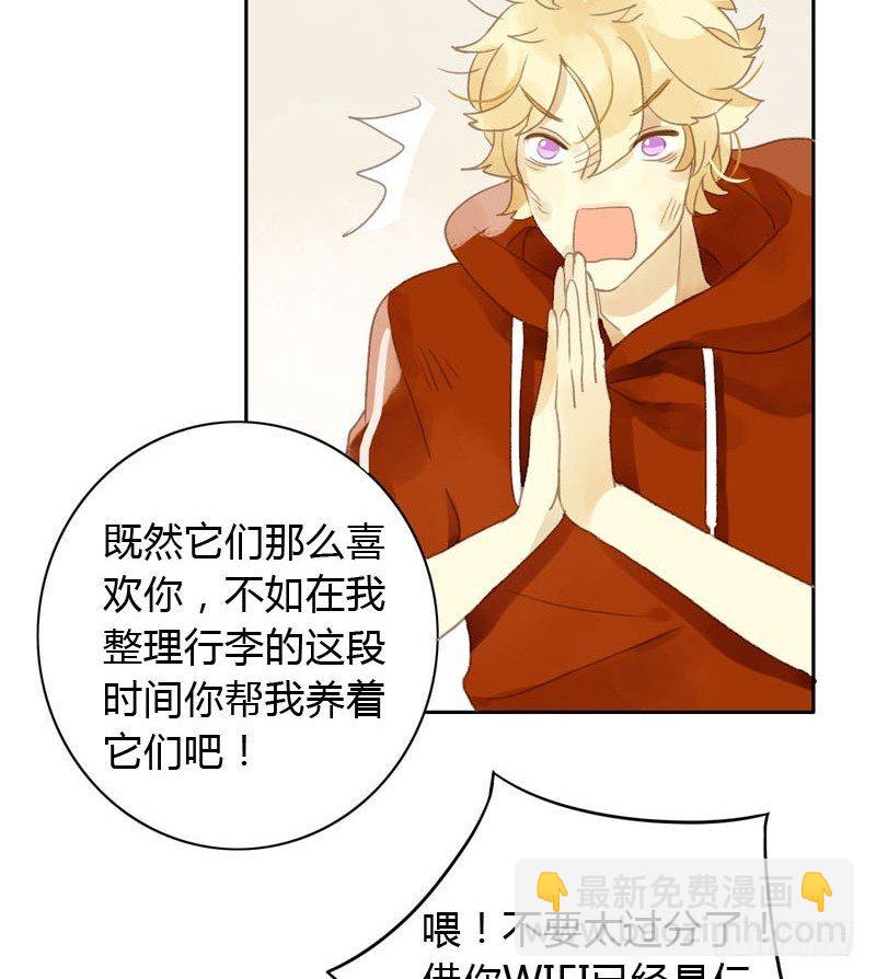 哪里来的猫（下）-第13话