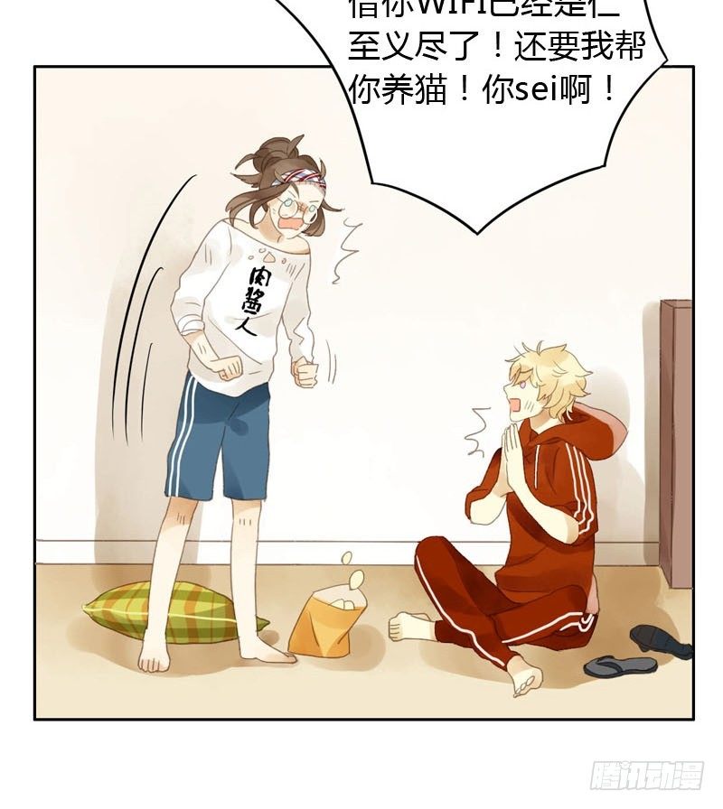 哪里来的猫（下）-第13话