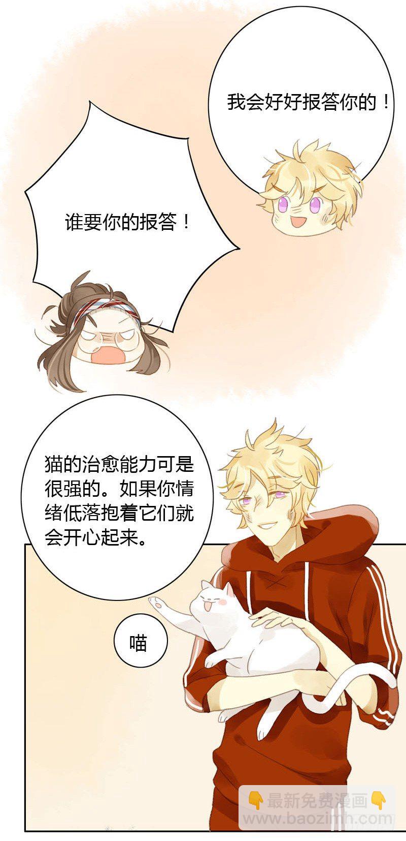 哪里来的猫（下）-第13话