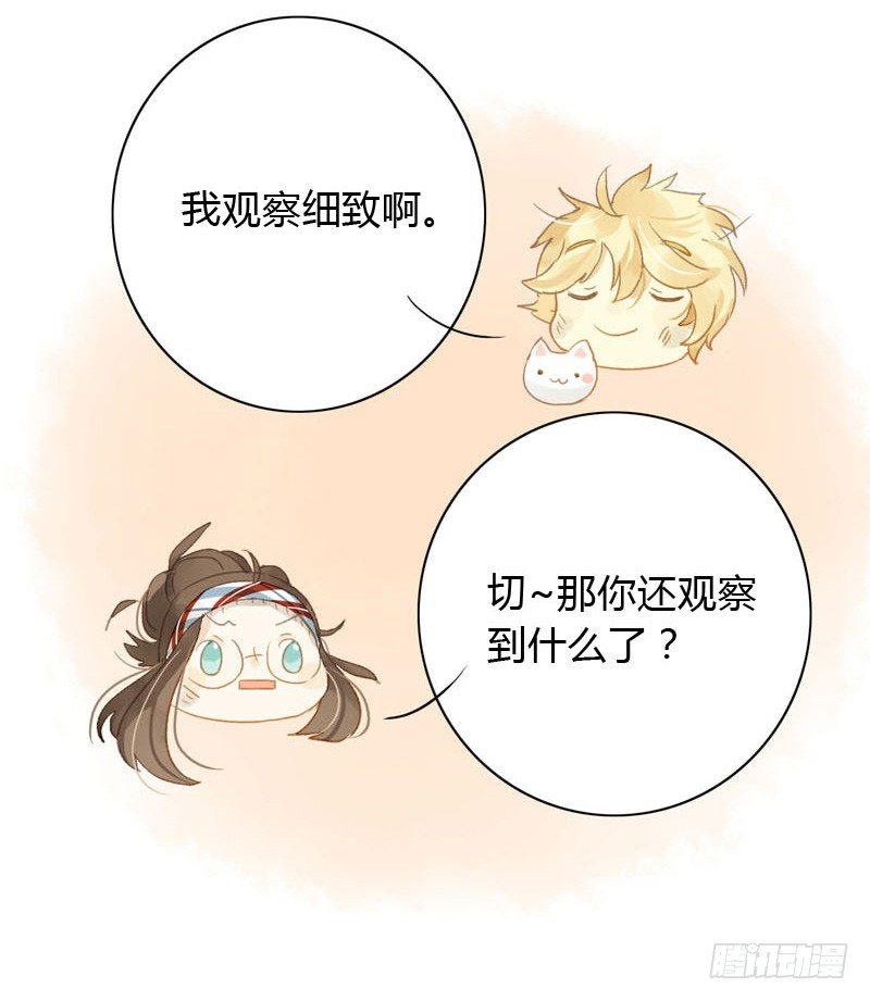 哪里来的猫（下）-第13话