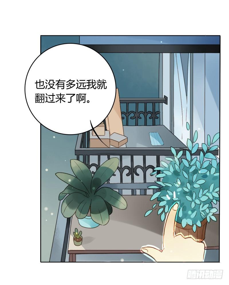 艾斯（上）-第163话